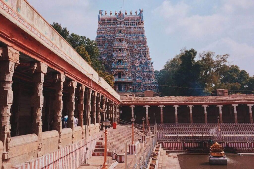 Tamil Nadu Delight
