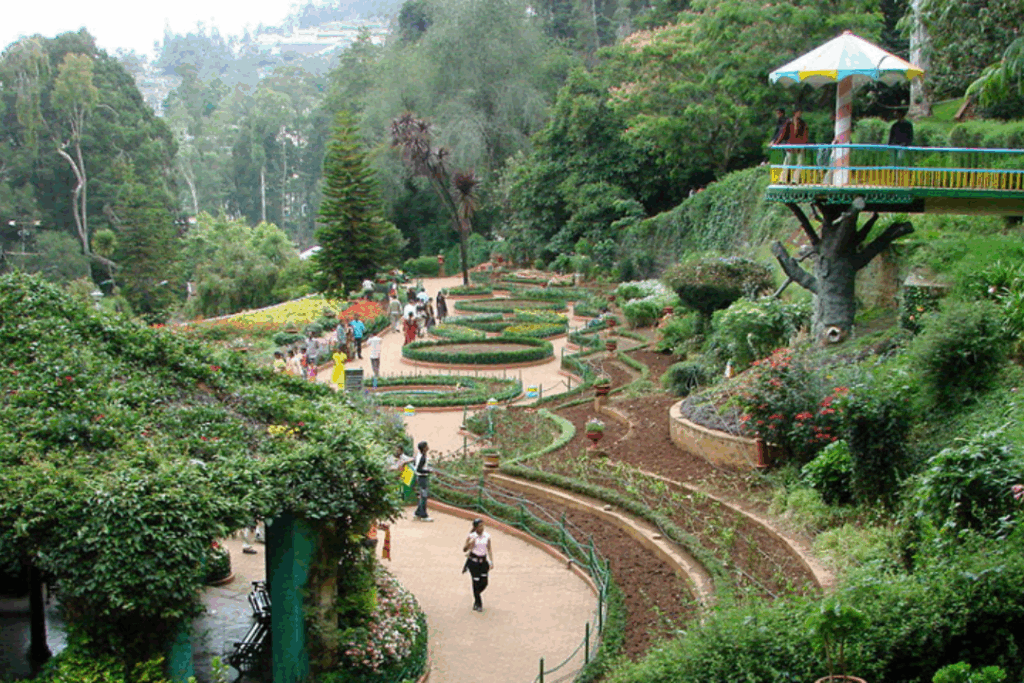 Ooty Honeymoon