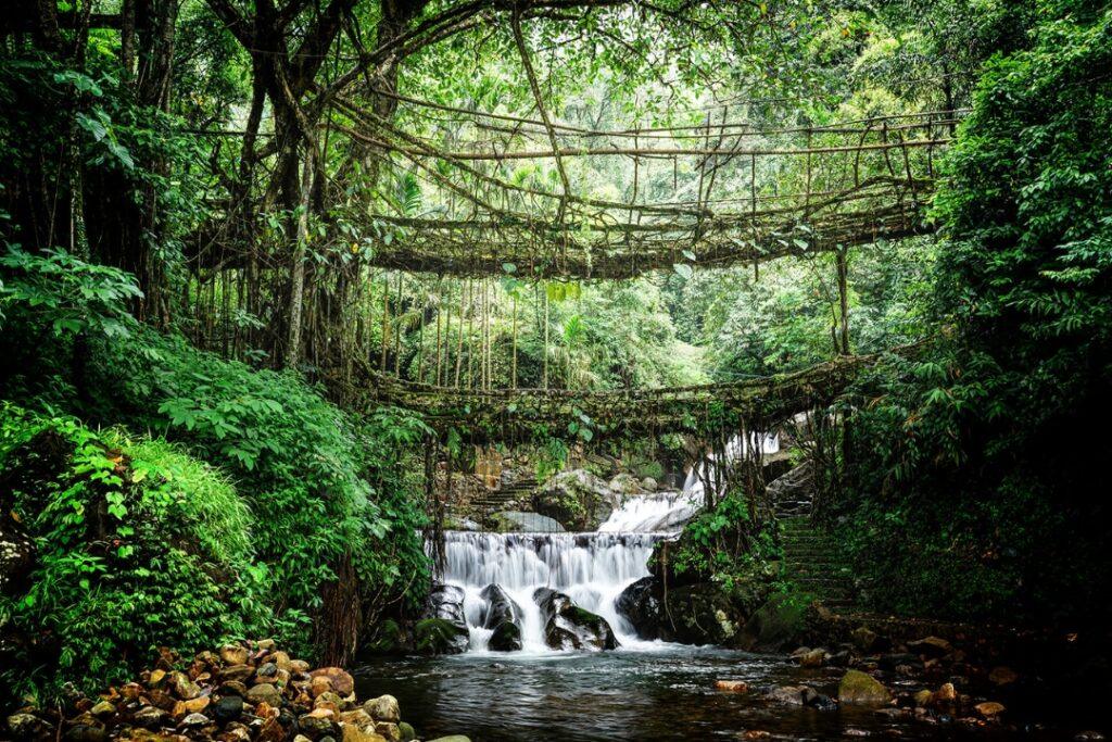 Majestic Meghalaya