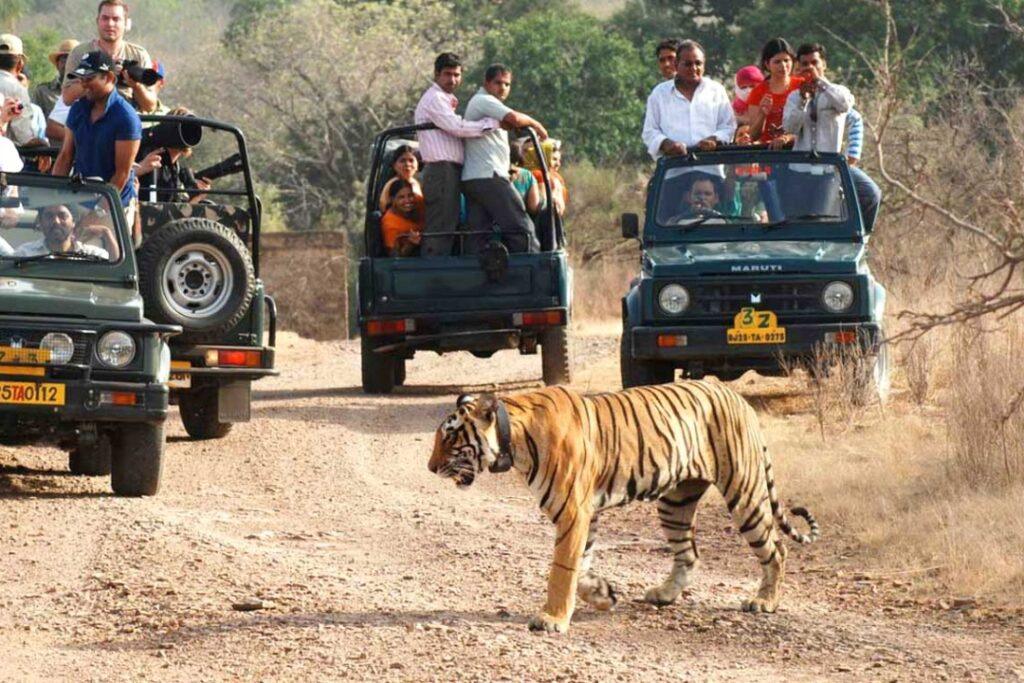 Rajasthan Adventure