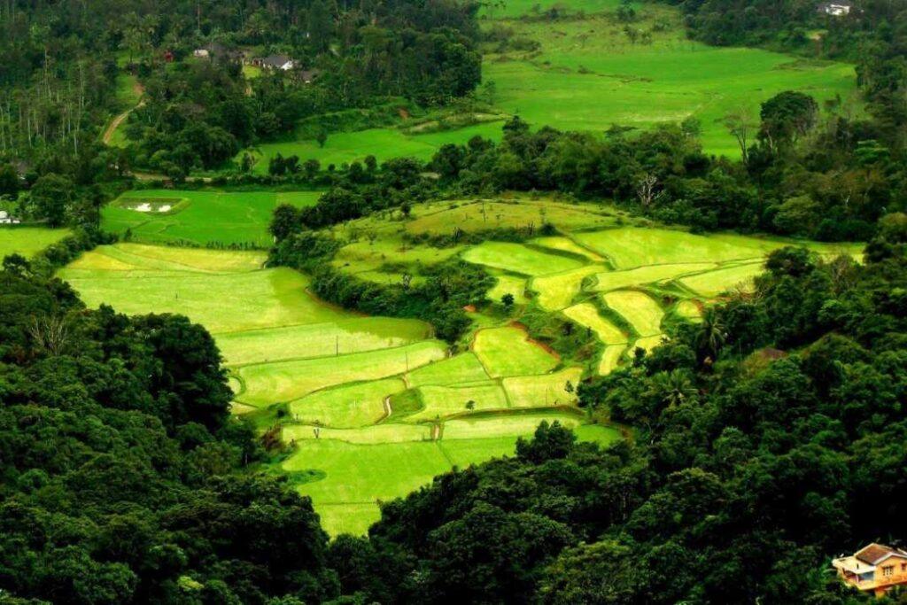 Coorg Special