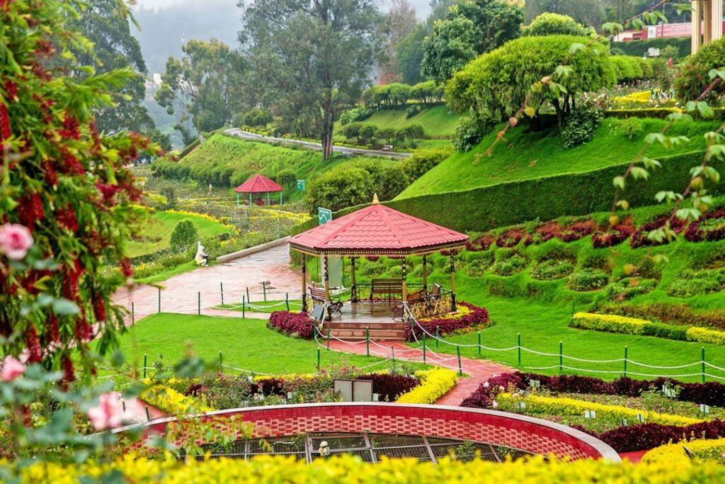 Ooty Special