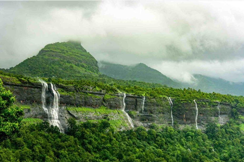 Special Andhra