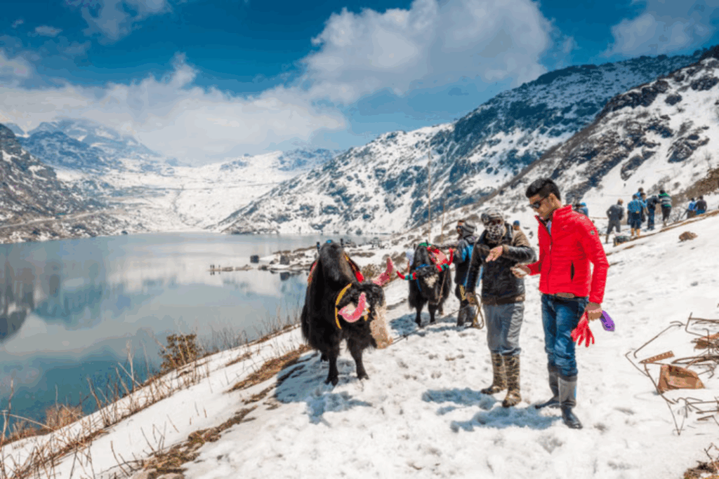 Sikkim Honeymoon