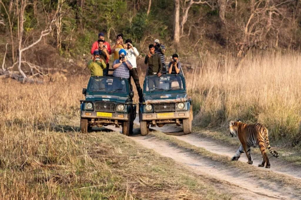 Jim corbett & Nainital Special